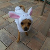 Stephanie Astarita's photo