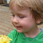 Colleen Boynton's photo