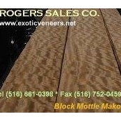 Rogers Saless foto