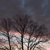 Antoinette DaBaldo's photo
