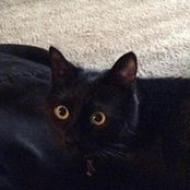 Rhonda Shaeffer's photo