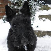 Julie Van Hove's photo