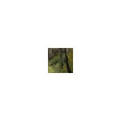 Juan Garcia's photo