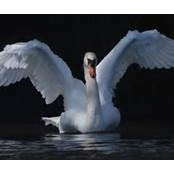 Kirsen Moore's photo