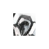 Constantin's photo