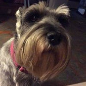 Beth Flynn's photo