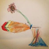Ashley DuCharme's photo