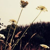 J P's photo