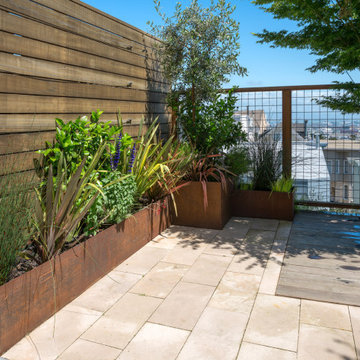 Buena Vista Terrace - San Francisco