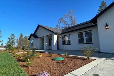 Inspiration for a large contemporary one-story exterior home remodel in Sacramento