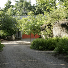 Driveway, Front Fence & Gate