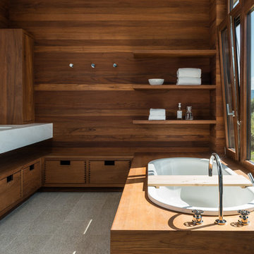 Shoshone Residence