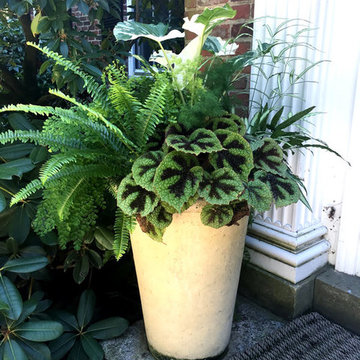 Container Planting Designs