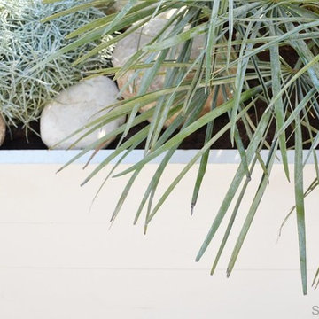 La terrasse Californie