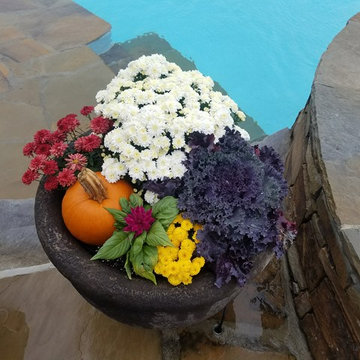 Fall Pots