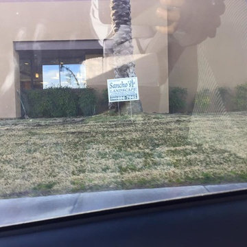 Commercial Water Conservation Turf Buy Back Program 1st Bank