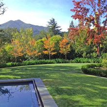 Garden-Terrace