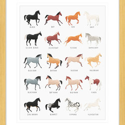 Everything Equine Collection - Framed Wall Art (EQ01) - Kids Wall Decor