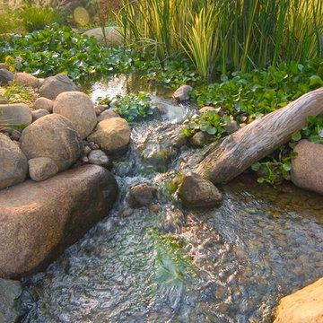 Waterfalls