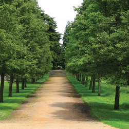 ArborScape Services - Products