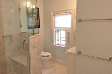 Bathroom - transitional bathroom idea in DC Metro