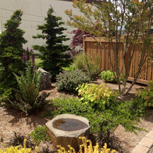 Pet, bird landscaping ideas