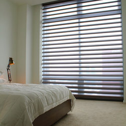 Hunter Douglas Pirouettes - Chicago - Window Treatments