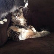 Anthony Weilandgruber's photo