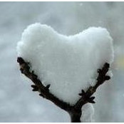 Cathy Berg's photo