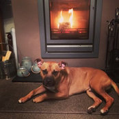 Steve Andrews's photo
