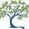 Branches Cabinetry and Design