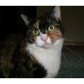 Lois Strazさんの写真