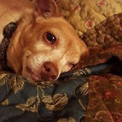 Mary Dedering's photo