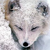 Scotty Emerle's photo