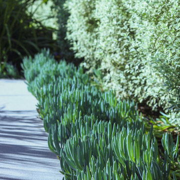 Planting Detail