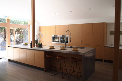 Example of a minimalist kitchen design in Orange County