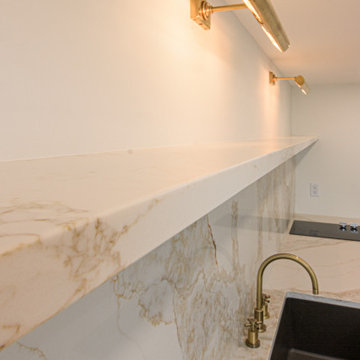 Biltmore Basement Renovation