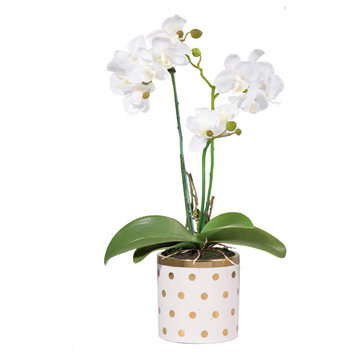 Dot Artificial Flower or Plant, White