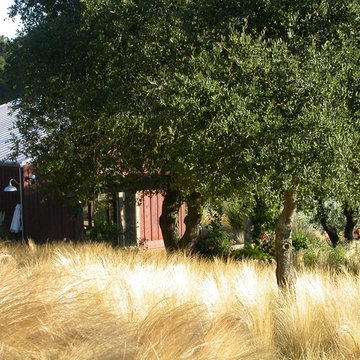 Rivera