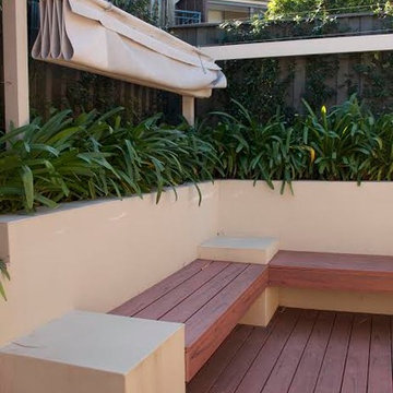 Gladesville Garden / Gladesville Water Feature / Gladesville Plants