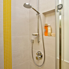 Shower niche
