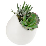 Arcadia Garden Products - Arcadia Garden Products Large Round Wall Planter, Matte White - Arcadia Garden Products distinctively-styled ceramic wall planters are perfect for growing herbs, cactus, and succulents, or even as storage for any other small items. A slightly angled back gives the wall planter its unique appearance when affixed to a wall or fence. Suitable for use indoors or outdoors, these wall planters are an excellent addition to any gardening space and can even be used to create your own living wall.