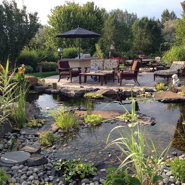 15 Year old pond 'makeover'