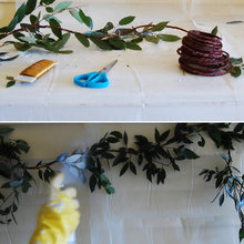 webuser_4562869's Ideas