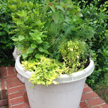 Vegetable & Herb Gardens