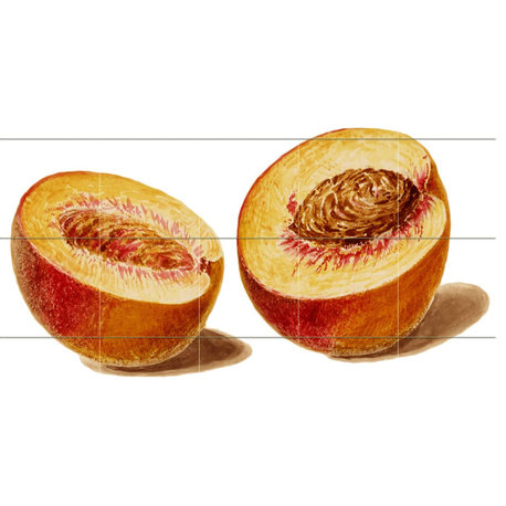 Tile Mural Peach Kitchen Bathroom Shower Backsplash 4.25" Ceramic Glossy