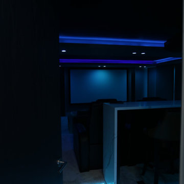 Custom Home Theater