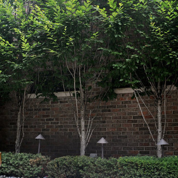 Lincoln Park Garden