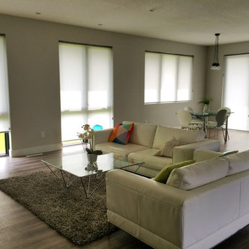 Roller Shades