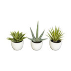 Southwest Collection, Set of 3